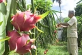 Nông dân Cam Lộ chung sức xây dựng nông thôn mới