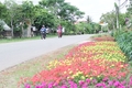 Khánh thành “Tuyến đường kiểu mẫu” tại xã Vĩnh Thủy