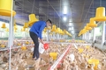 Góp nhặt từng ngày để làm nên thành công trên đường khởi nghiệp