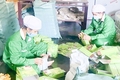 Đakrông tập trung sắp xếp quy mô, mạng lưới trường lớp