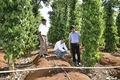 Hướng đến một nền sản xuất nông nghiệp xanh, bền vững