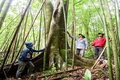 Bảo vệ rừng hiệu quả nhờ giao khoán cho cộng đồng