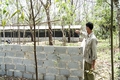 Khẩn trương hoàn thành tuyến đường bộ cao tốc Bắc-Nam đoạn qua Quảng Trị