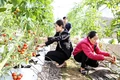 Huyện Triệu Phong nỗ lực thu hút đầu tư vào các cụm công nghiệp