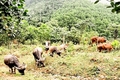 Phụ nữ Quảng Trị đẩy mạnh phong trào Toàn dân bảo vệ an ninh Tổ quốc