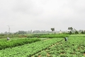 Đông Hà làm tốt công tác xây dựng Đảng để tạo nền tảng phát triển