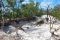 Nhức nhối tình trạng khai thác cát trắng trái phép vùng ven biển