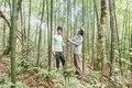 “Lợi ích kép” từ thực hiện chi trả dịch vụ môi trường rừng