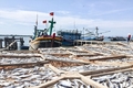 Gio Linh, phát huy thế mạnh kinh tế biển