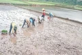 Lan tỏa tinh hoa của núi rừng