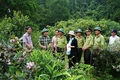 Kiểm tra công tác phòng cháy chữa cháy rừng tại huyện Vĩnh Linh