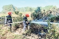 Kiểm tra công tác phòng cháy chữa cháy rừng tại huyện Vĩnh Linh