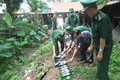 Tiêu hủy hơn 44.000 bao thuốc lá ngoại nhập lậu