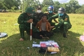 Bắt 9 đối tượng người Lào, thu giữ 100 kg ma túy vận chuyển qua địa bàn biên giới tại Quảng Trị