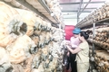 Huyện Đakrông thực hiện hiệu quả các chương trình tín dụng ưu đãi