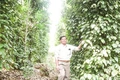 Sức sống mới trên “vành đai trắng” năm xưa