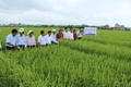 Chú trọng kiện toàn tổ khuyến nông cộng đồng 