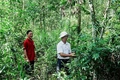 Kinh tế tập thể mang lại hiệu quả cao tại xã Gio Mỹ