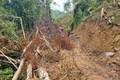 Xử phạt 66 triệu đồng đối với doanh nghiệp và cá nhân san ủi trái phép rừng tự nhiên