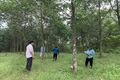 Cam Lộ quyết liệt giải phóng mặt bằng dự án thành phần cao tốc Bắc - Nam qua địa bàn huyện
