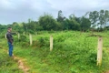Mong muốn được chuyển đổi mục đích sử dụng một phần đất trong giấy CNQSD đất