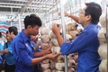 Liên hoan “Câu lạc bộ Gia đình hạnh phúc” TP. Đông Hà