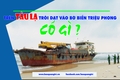 Đồng ý tiêu hủy tàu trôi dạt vào bờ biển tỉnh Quảng Trị