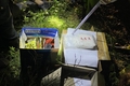 Hải quan Quảng Trị: Bắt vụ vận chuyển 2.000 viên thuốc lắc và 1 kg ma túy ketamine