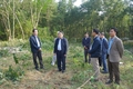 Cam Lộ quyết liệt giải phóng mặt bằng dự án thành phần cao tốc Bắc - Nam qua địa bàn huyện