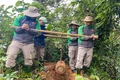 Nâng cao hiệu quả xử lý bom, mìn