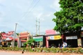Tết trong khu tạm cư