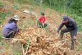 Hướng Hóa tập trung giải quyết tình trạng thiếu đất, nước sinh hoạt cho đồng bào dân tộc thiểu số