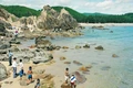 Ra biển câu mực nhảy, mực nháy