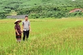 Nhân rộng các mô hình sản xuất có hiệu quả