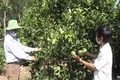 Gương sáng ở vùng gò đồi Đồng Bến