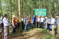 Phát huy vai trò của tổ khuyến nông cộng đồng