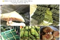 Cẩn trọng với gà “ôm trứng” giá rẻ