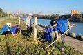 Cách làm mới đem lại diện mạo mới cho vùng nông thôn