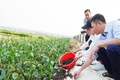 Nét mới trên đồng ruộng Vĩnh Lâm