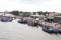 Triệu Phong chú trọng phát triển nền nông nghiệp hữu cơ