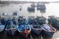 Tăng cường tuyên truyền về chống khai thác IUU cho ngư dân