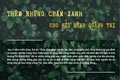 Quần thể ngô đồng bung hoa, nhuộm hồng núi rừng Quảng Trị