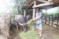 Hơn 8.400 người dân được vay vốn phát triển kinh tế