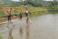 Thu nhập đến 350 triệu đồng mỗi năm từ nuôi dê