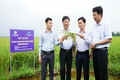 Hội nghị đầu bờ mô hình trồng thử nghiệm cây gai xanh