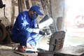 “Dệt” những mùa vàng