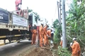 Bảo đảm cung cấp điện phục vụ phát triển đặc khu Cồn Cỏ