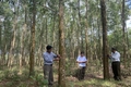 Trồng rừng gỗ lớn - vượt qua thách thức để phát triển bền vững. Bài 2: Vì sao người dân vẫn chưa mặn mà với rừng gỗ lớn?