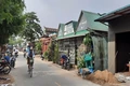 250 ha rừng của người dân Hải Chánh chưa làm được giấy chứng nhận quyền sử dụng đất do xâm canh