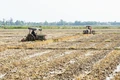 Chủ động điều tiết nước phục vụ vụ hè thu